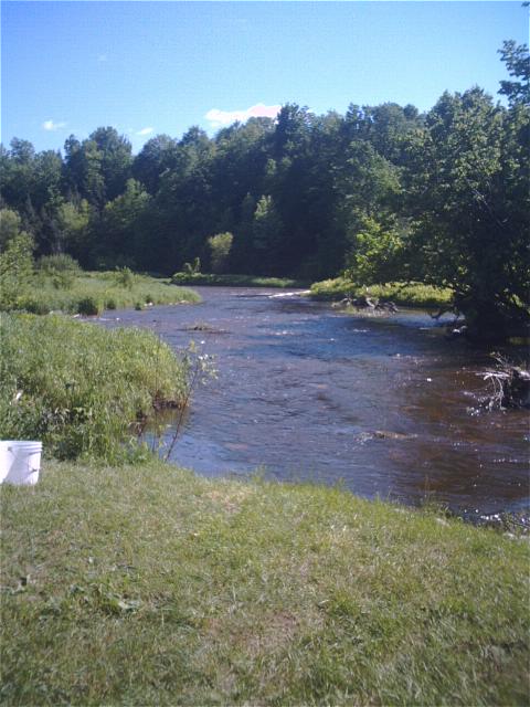 adirondack-fishing-conditions-early-june-110604
